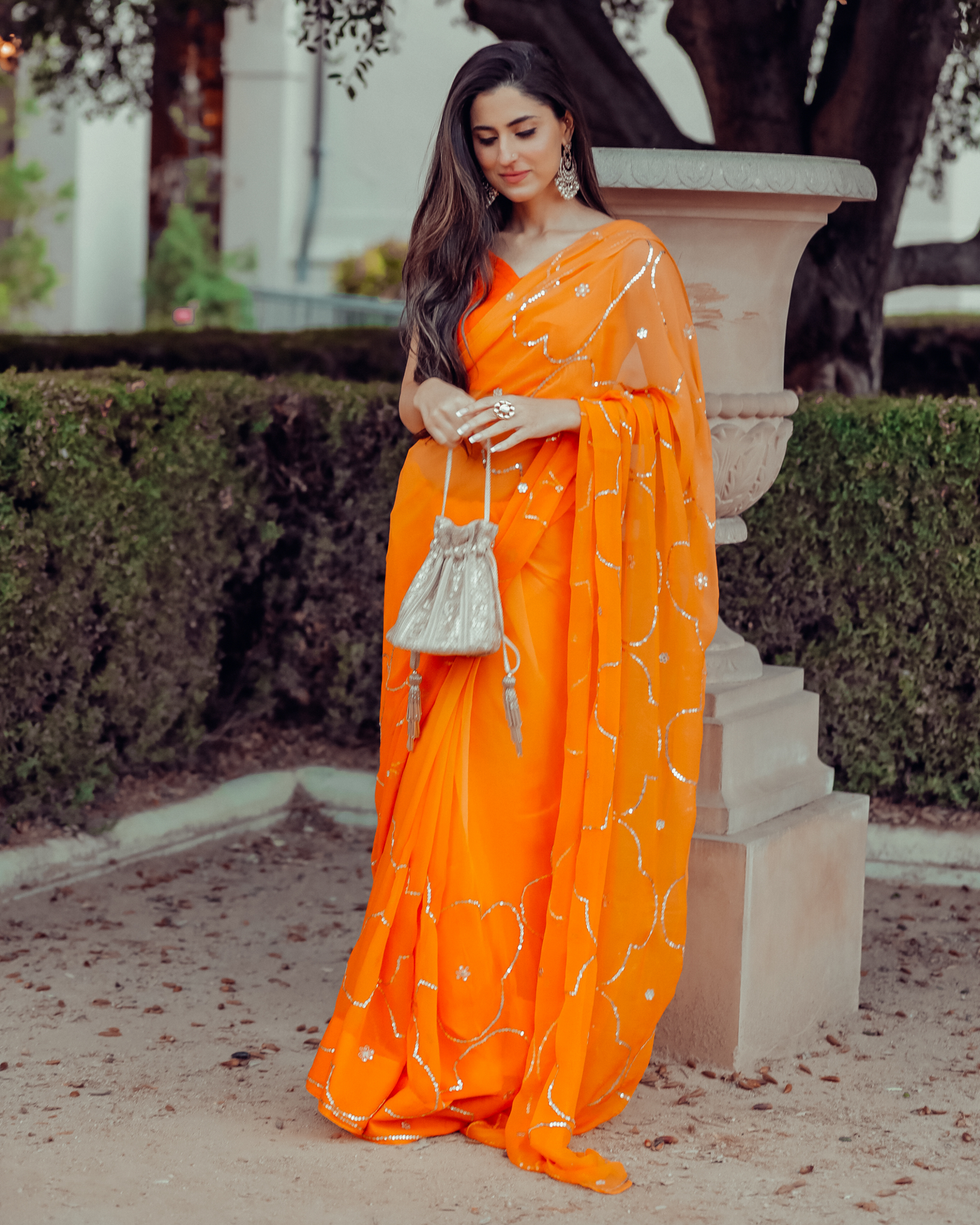 Autum Glory Sequin Jaal Pure Chiffon Saree