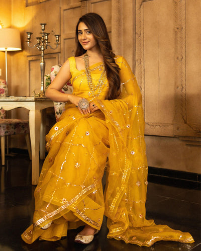 Gujaari Gotapatti Organza Saree