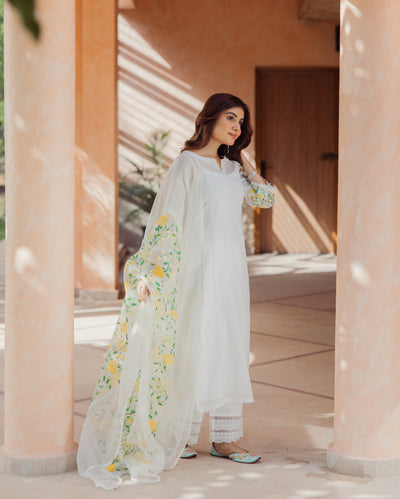 Swirl Off White Handpainted Chanderi Suit Set