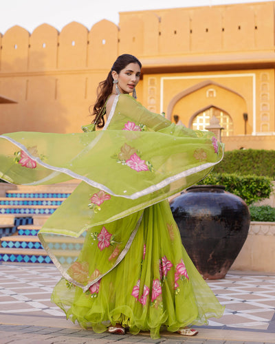 Jhuhi Handpainted Organza Lehenga Set