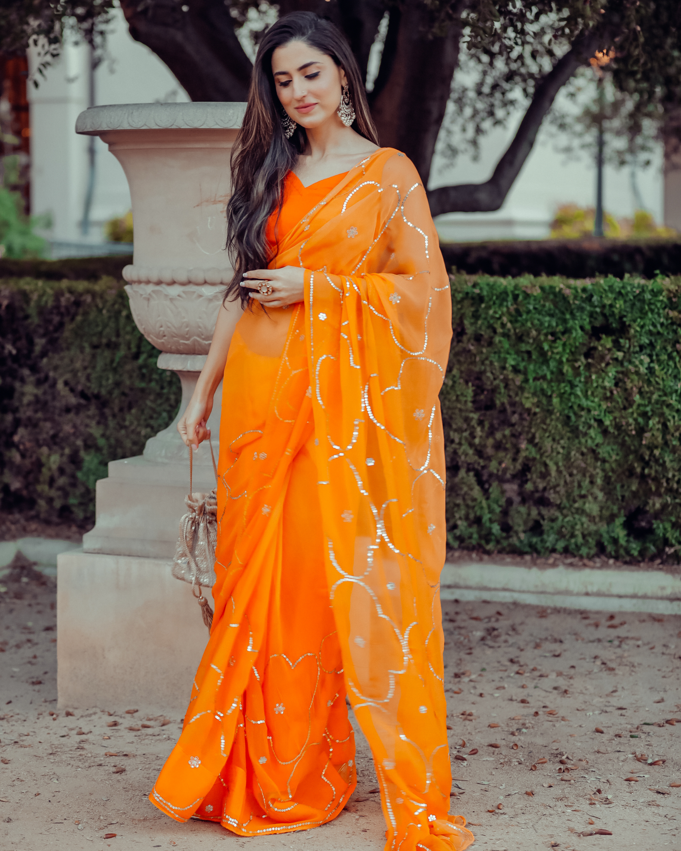 Autum Glory Sequin Jaal Pure Chiffon Saree