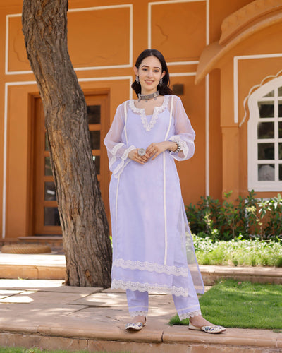 Eleanor Organza Straight Kurta Set