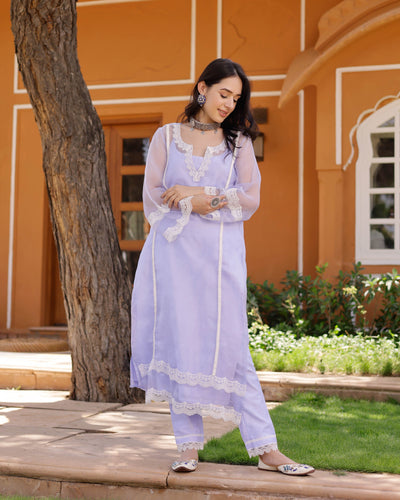 Eleanor Organza Straight Kurta Set